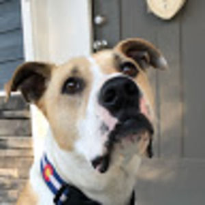 Meet your Posher, Ashleigh